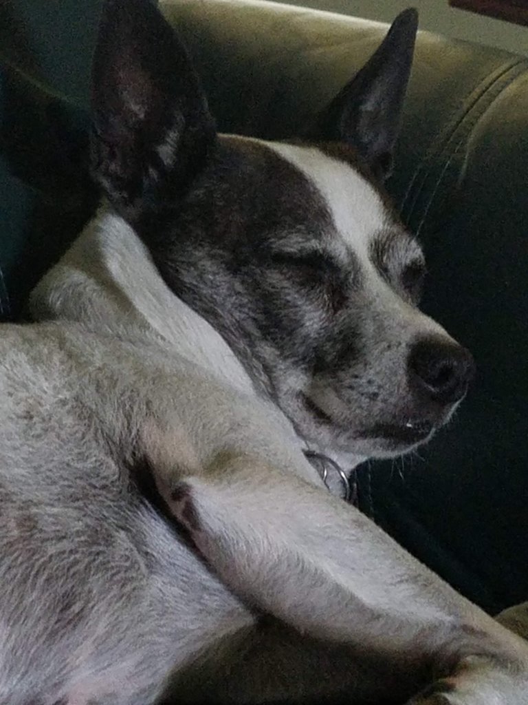 20170516_101621.jpg