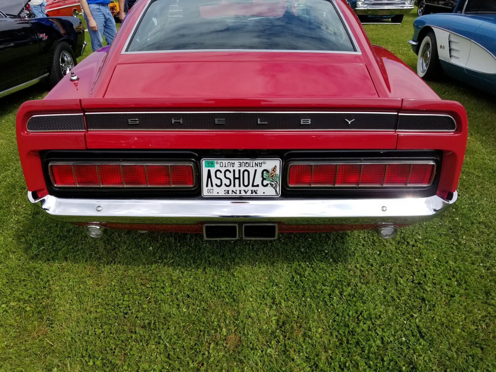 20170610_100914.jpg