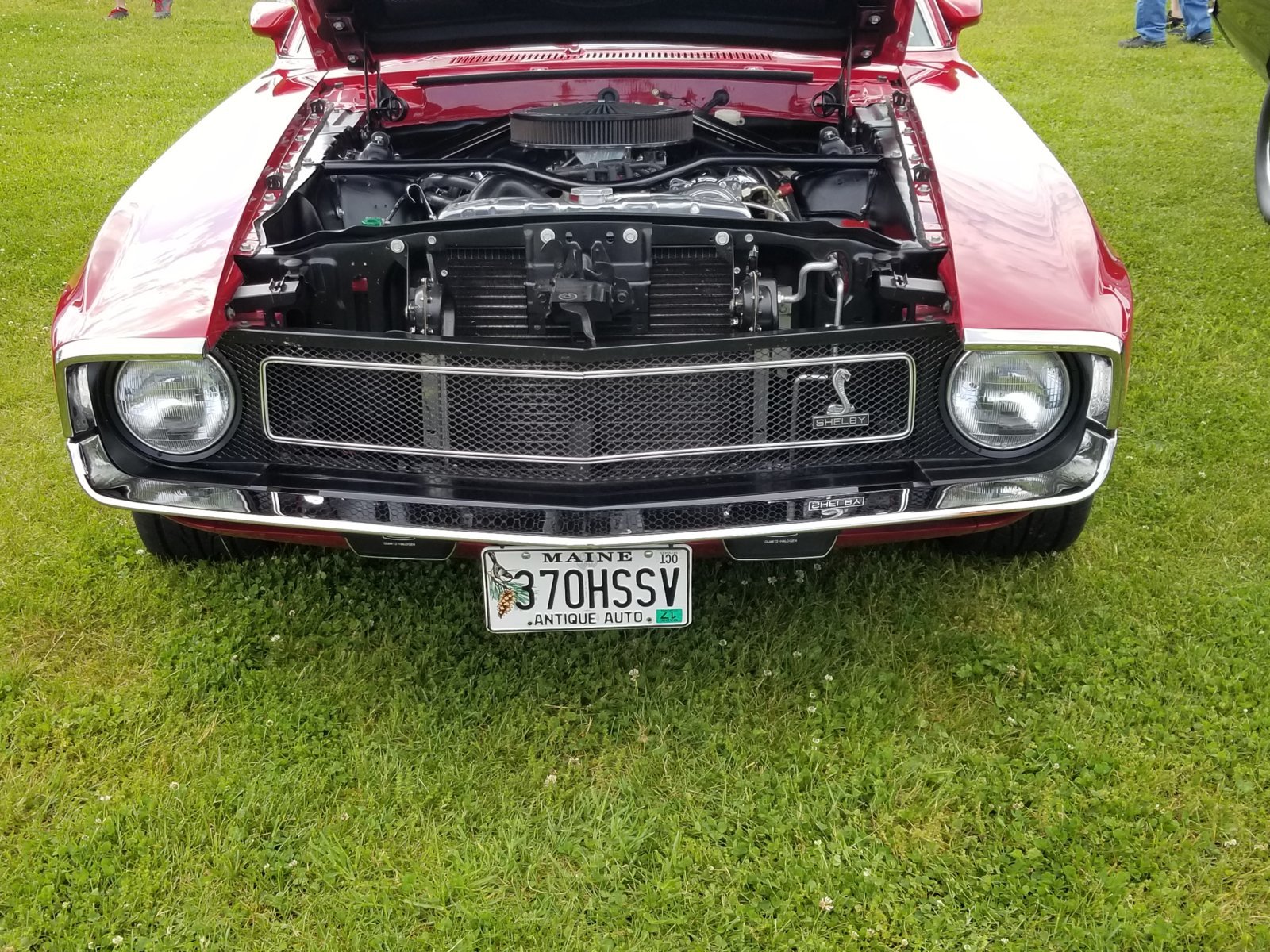 20170610_101054.jpg