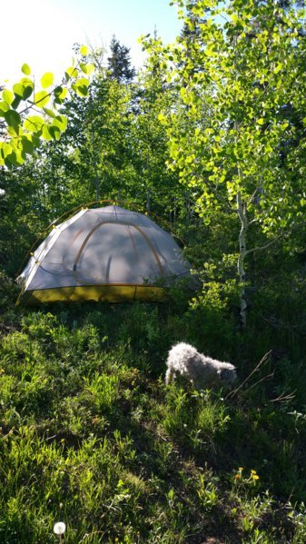 20170611_185238.jpg