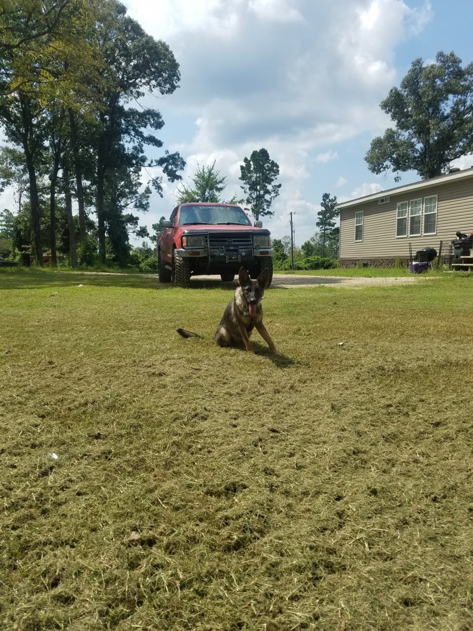 20170822_120534.jpg