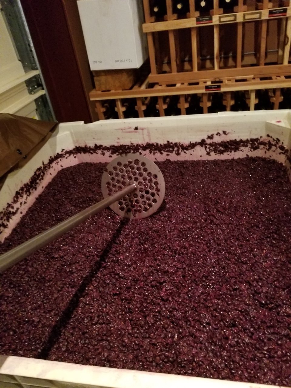 20170922_121320.jpg