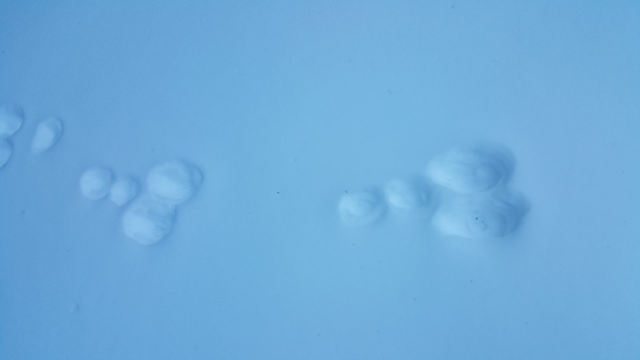 20171111_163240.jpg