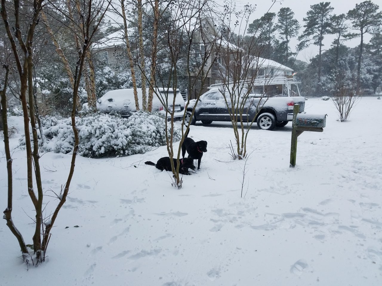 20180104_101624.jpg