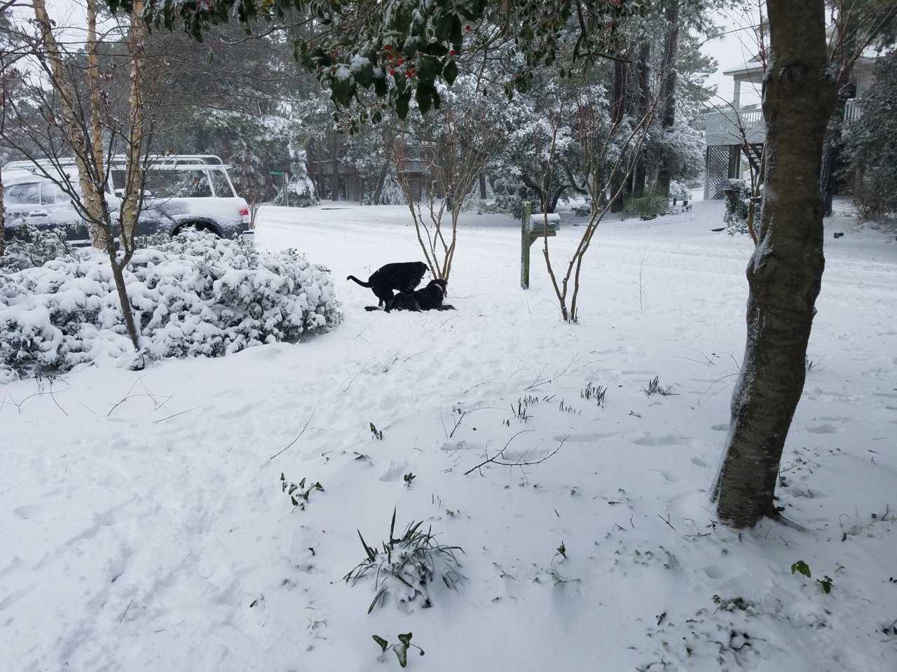 20180104_102023.jpg