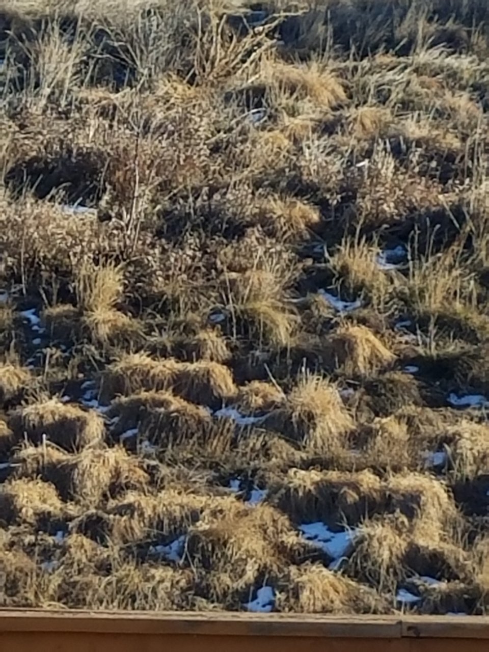 20180104_145935.jpg