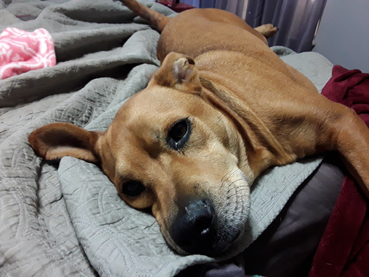 20180128_132354.jpg