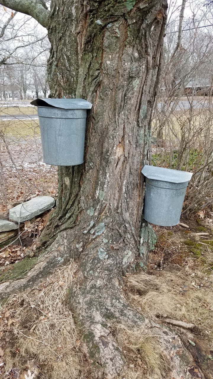 20180210_131731.jpg