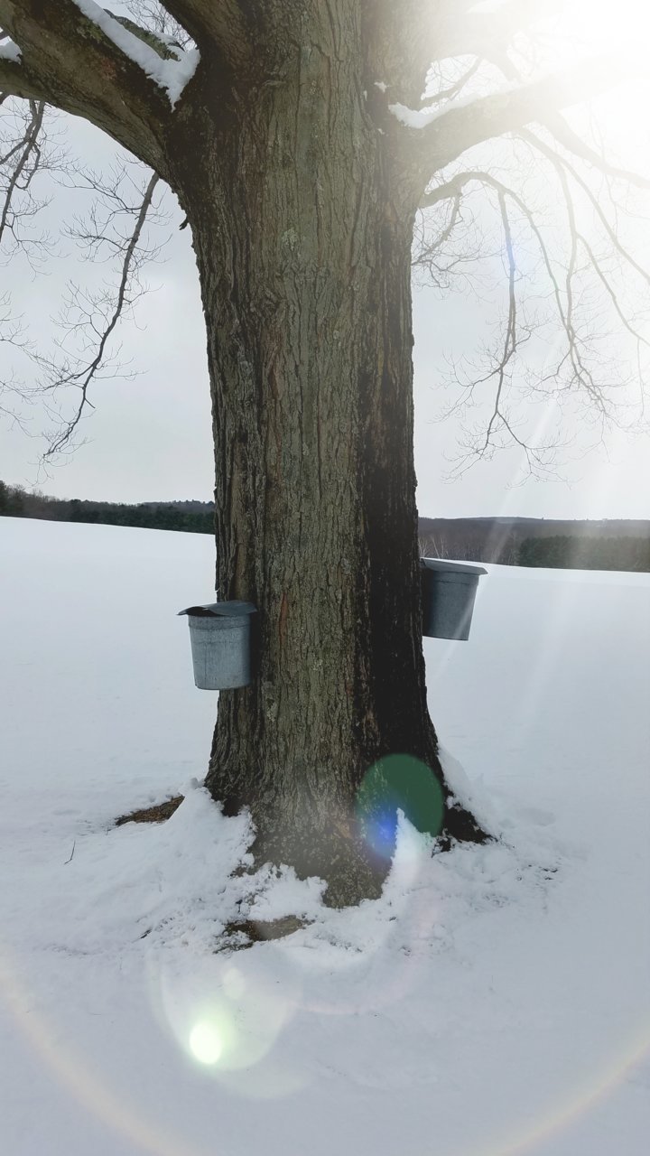 20180309_123441.jpg