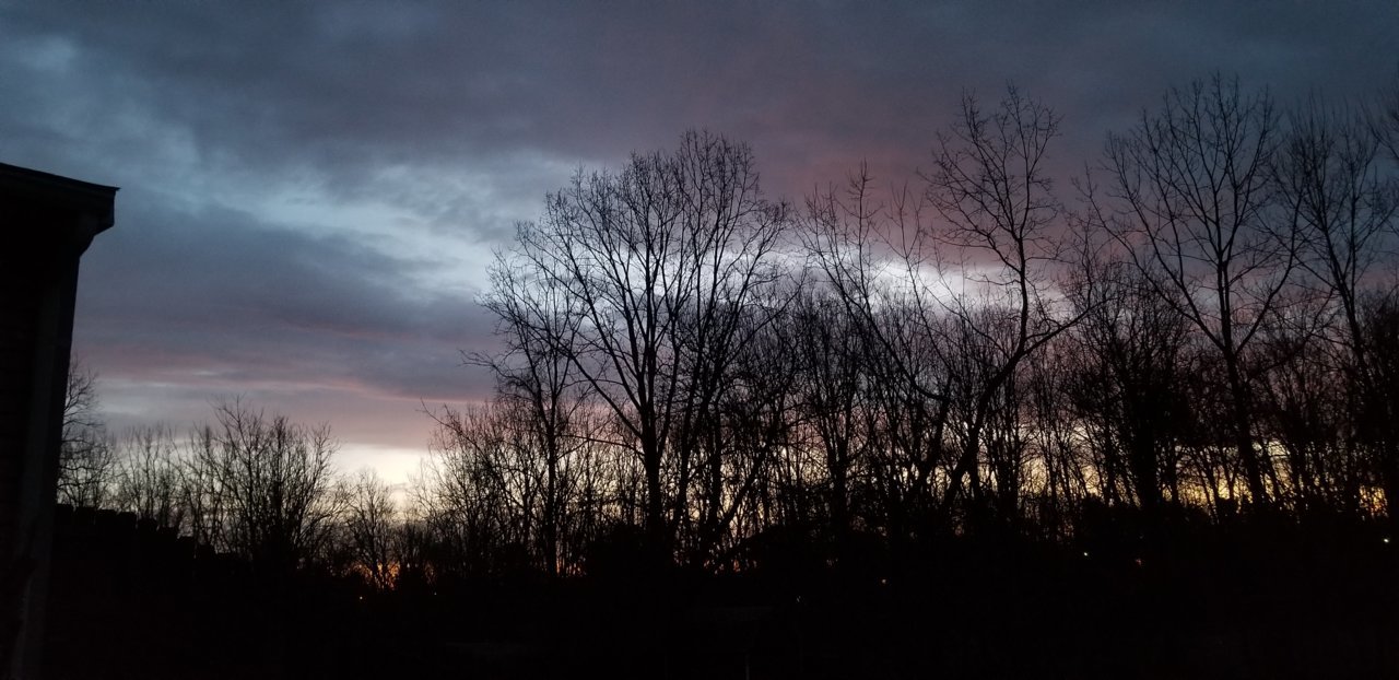 20180317_071535.jpg