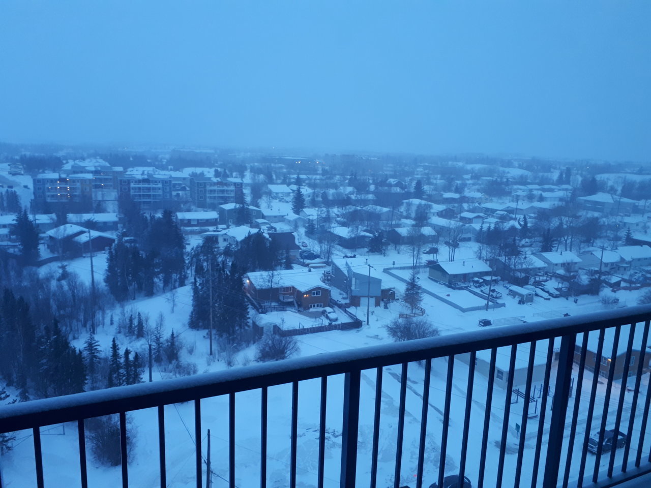 20180324_072413.jpg