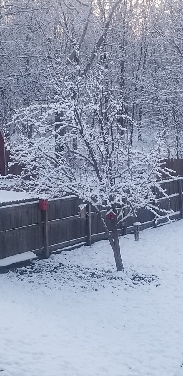20180402_070110.jpg