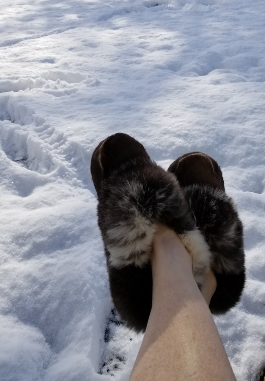 20180402_093525.jpg
