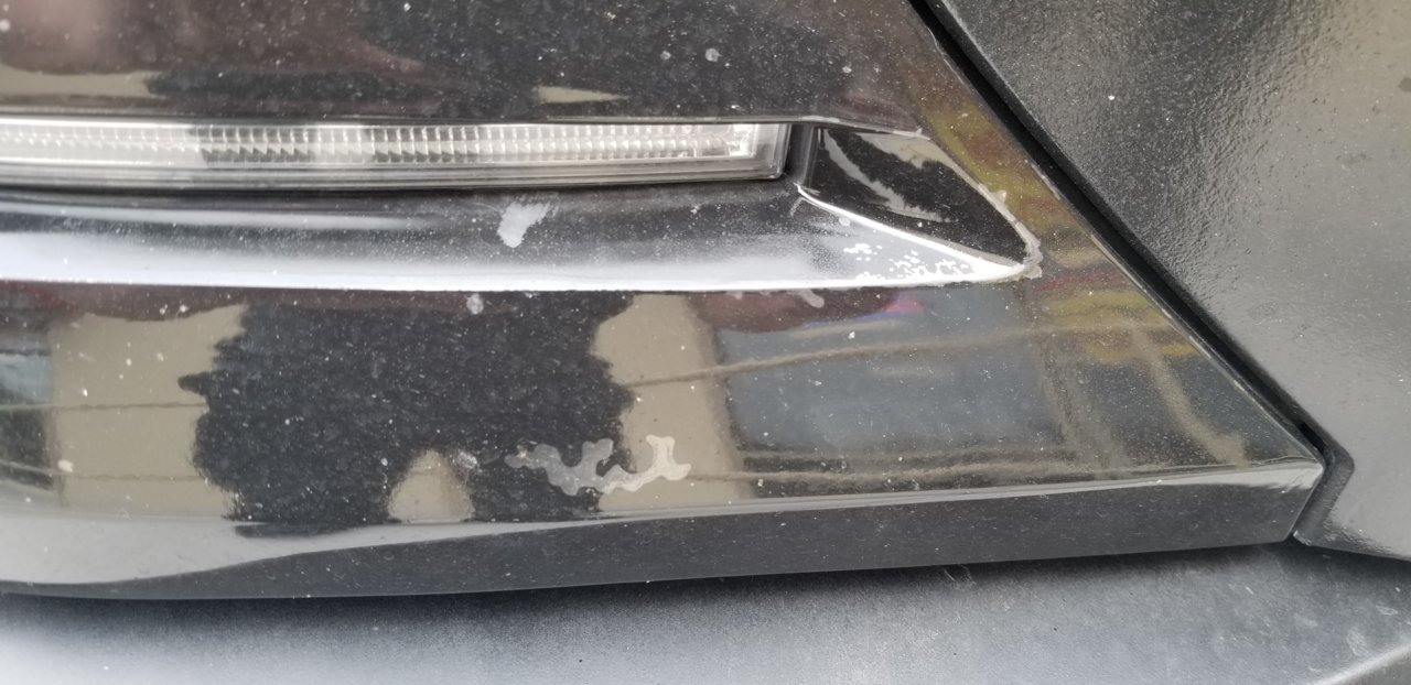 20180404_101828.jpg