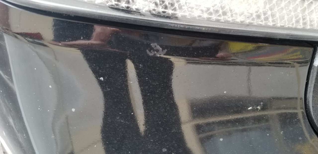 20180404_101831.jpg