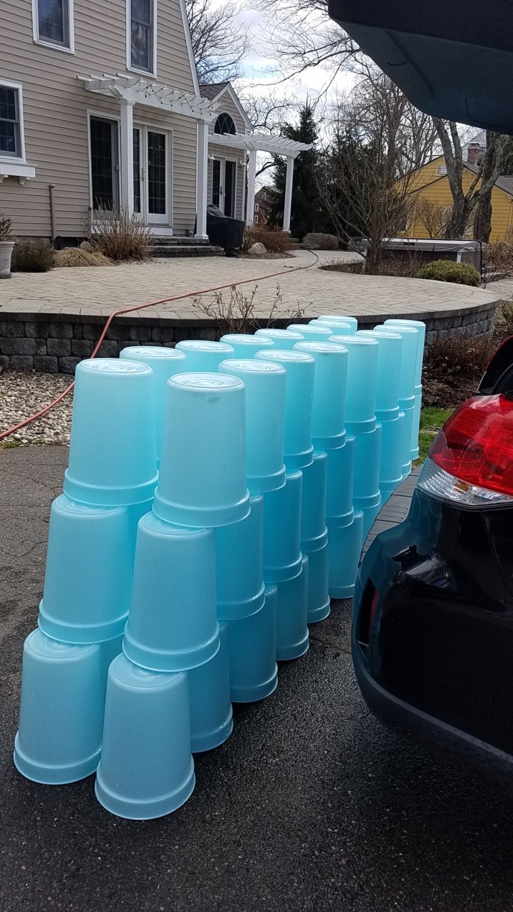 20180408_122008.jpg