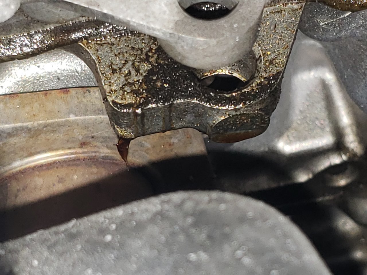 20180408_172803.jpg