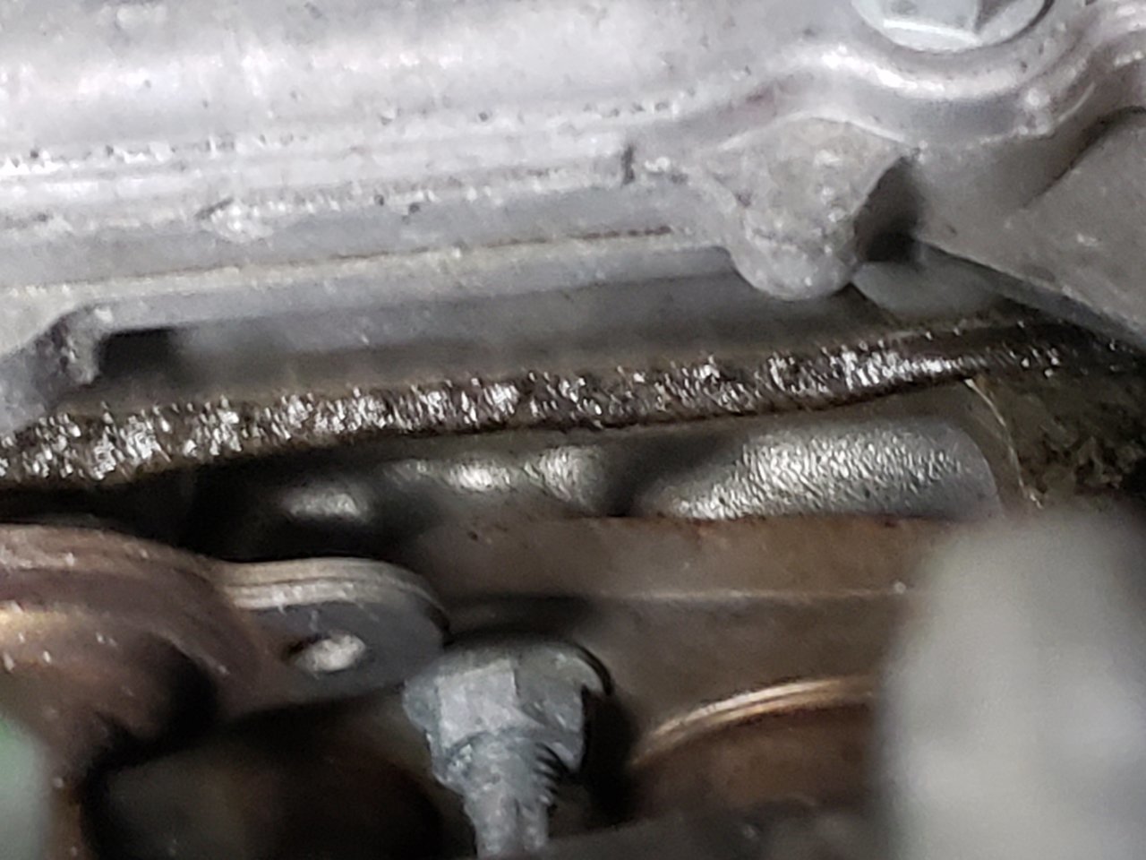 20180408_172809.jpg