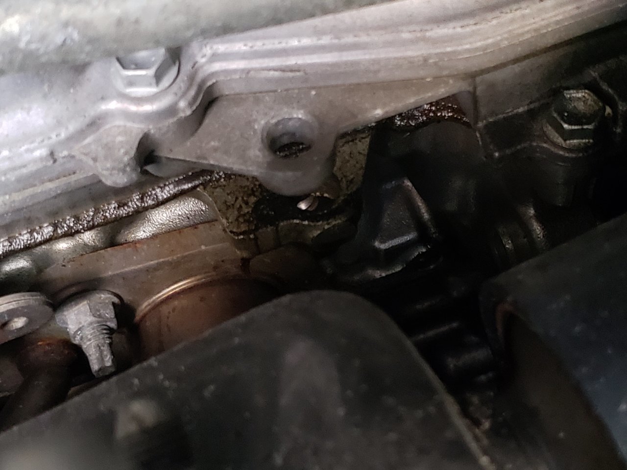 20180408_172852.jpg