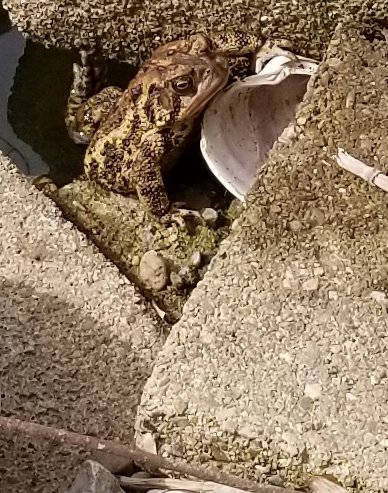 20180414_105656.jpg