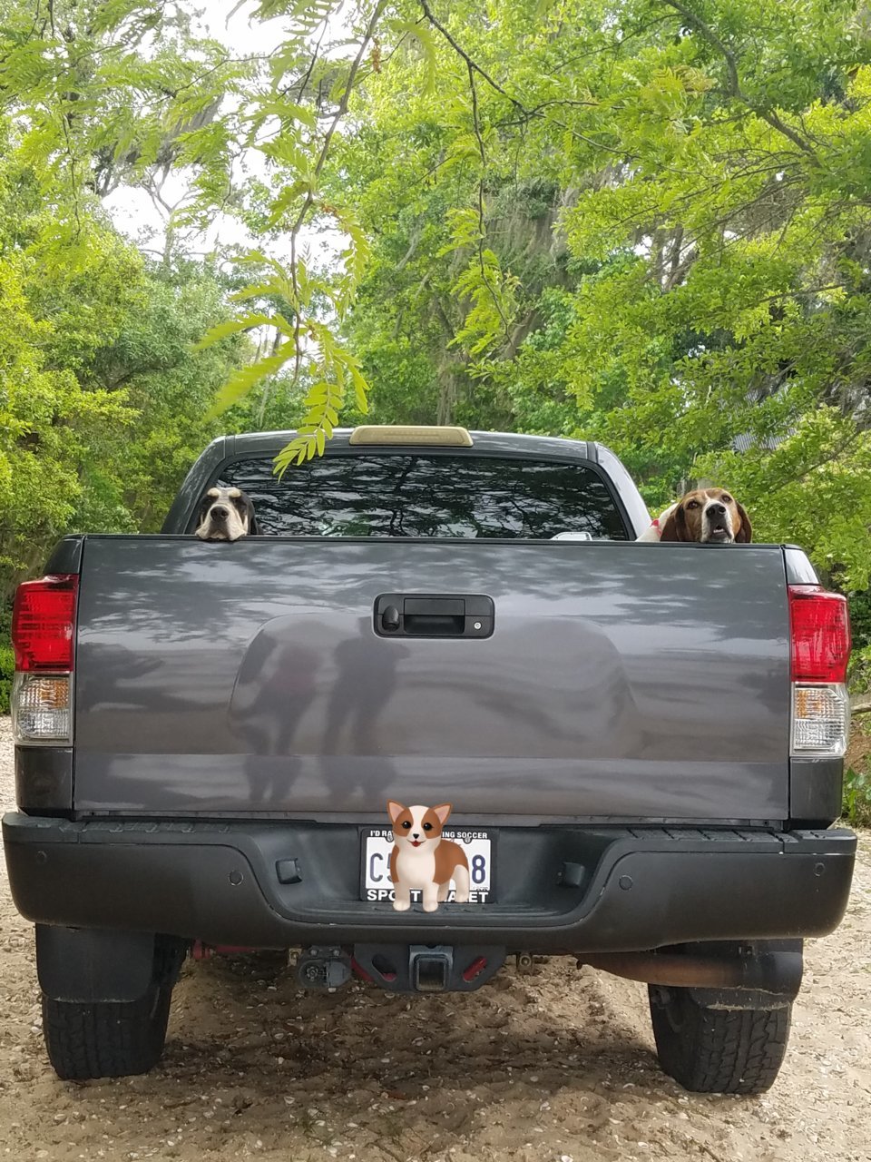 20180421_230437.jpg