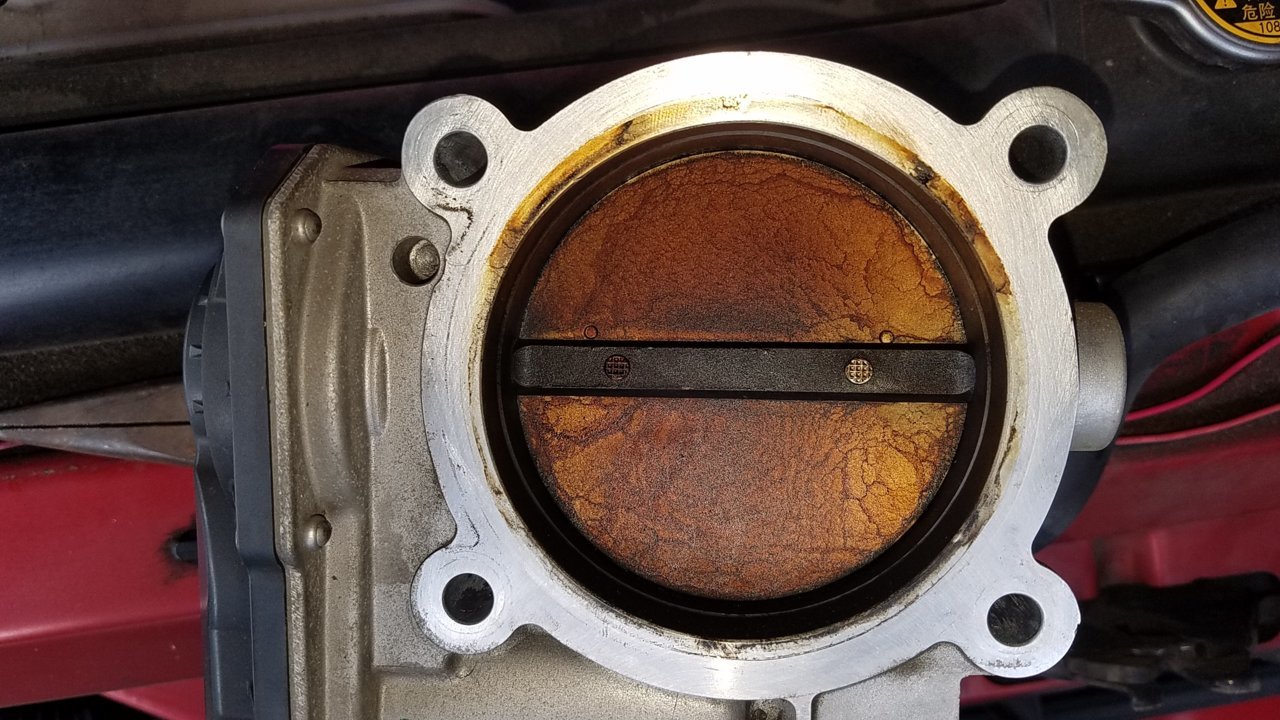 20180422_095127.jpg
