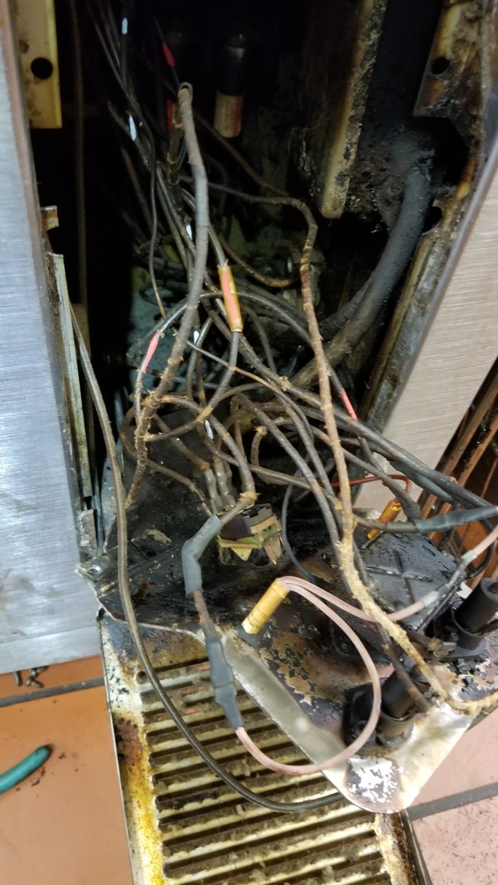 20180426_123140.jpg