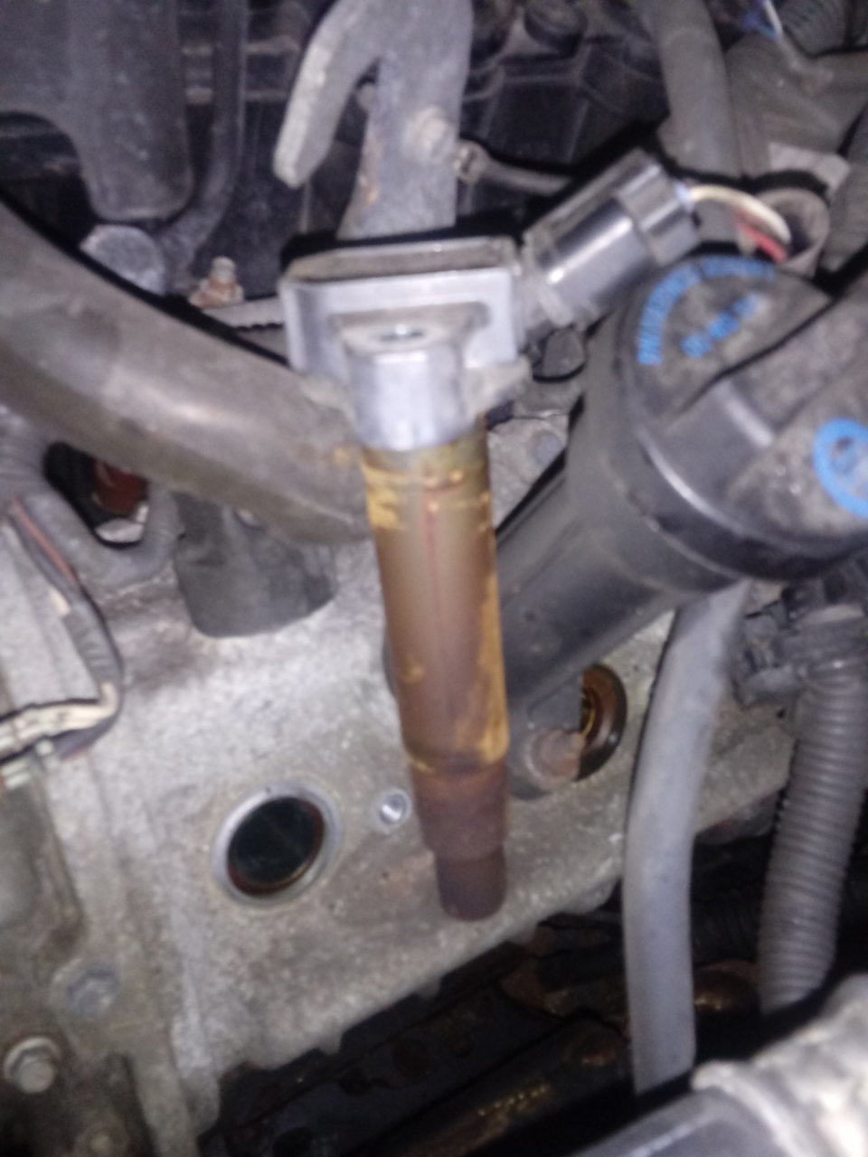 20180430_104402.jpg