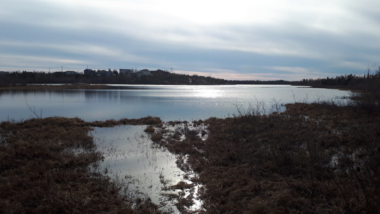 20180509_185238.jpg