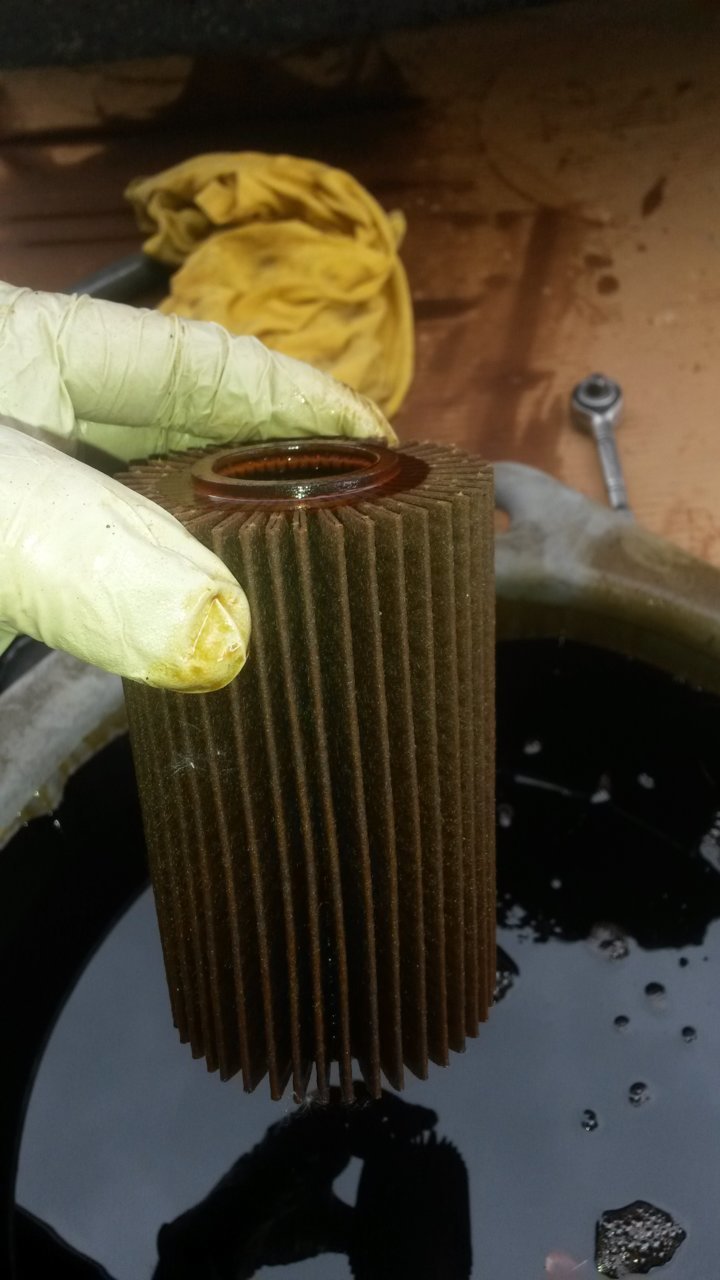 20180512_150612.jpg