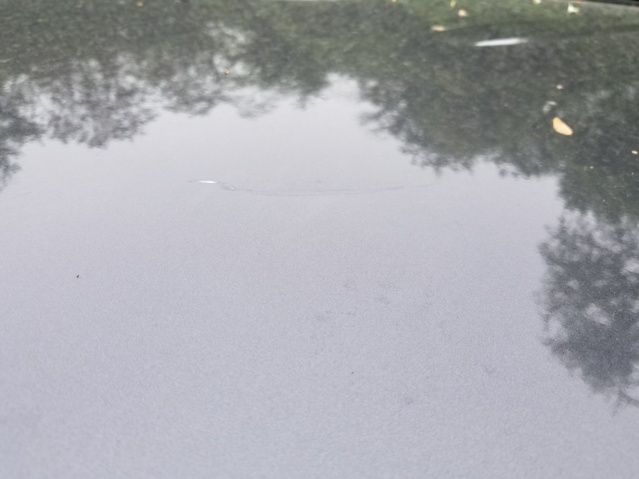 20180514_113119.jpg