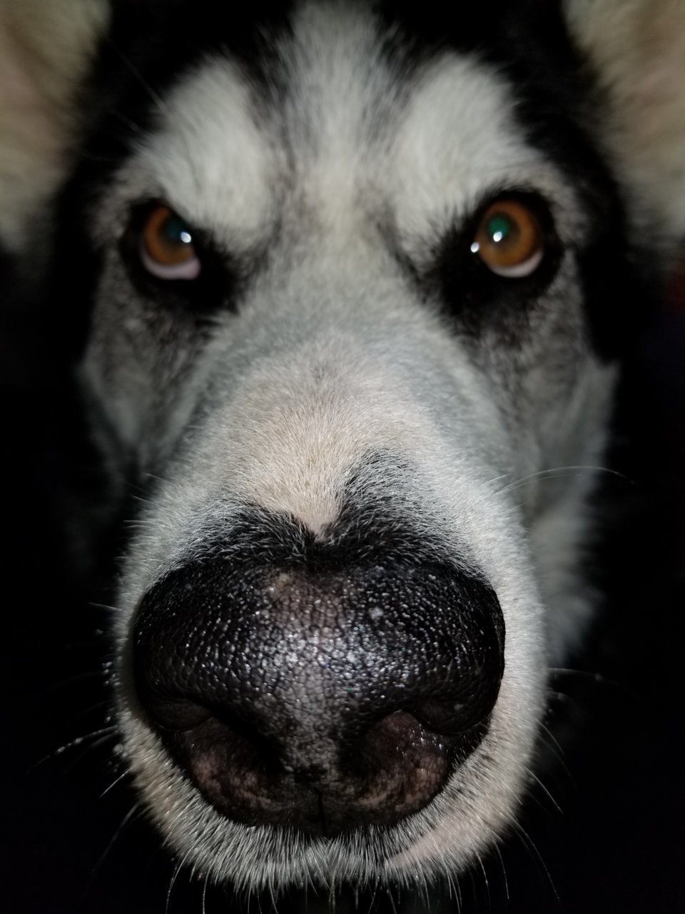 20180601_155420.jpg