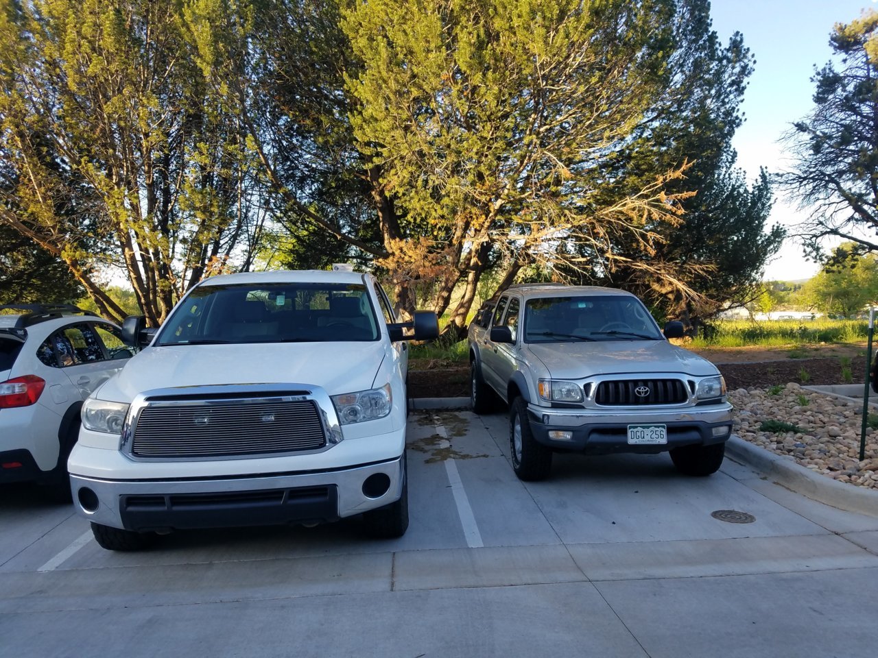 20180602_062928.jpg