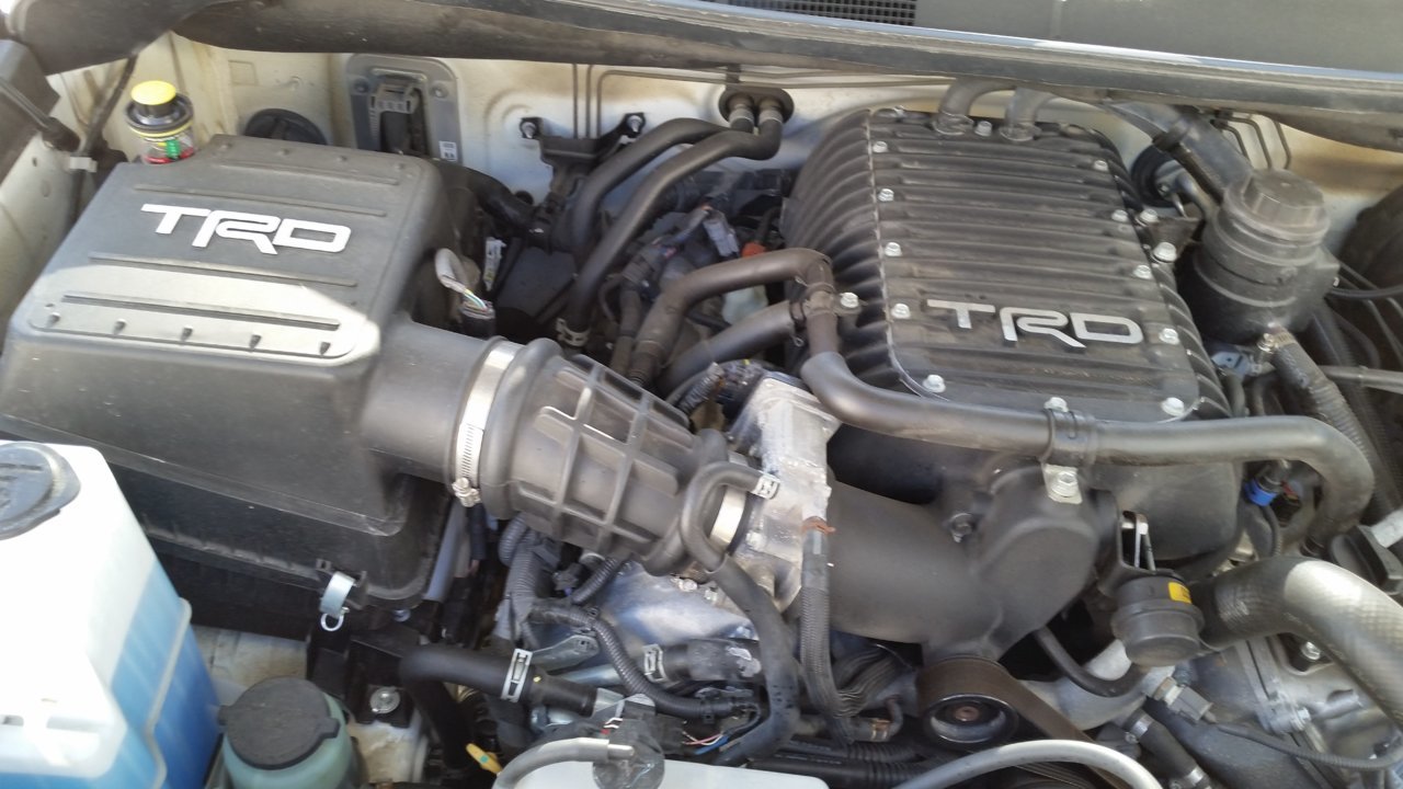20180602_103135.jpg