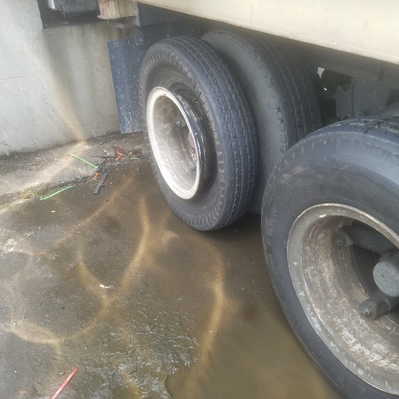 20180615_131959.jpg