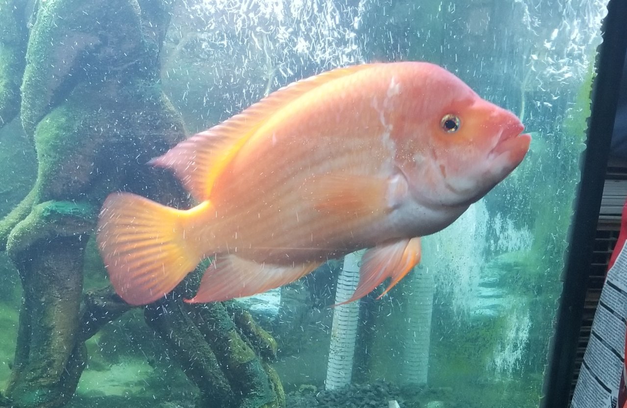 20180617_141747.jpg