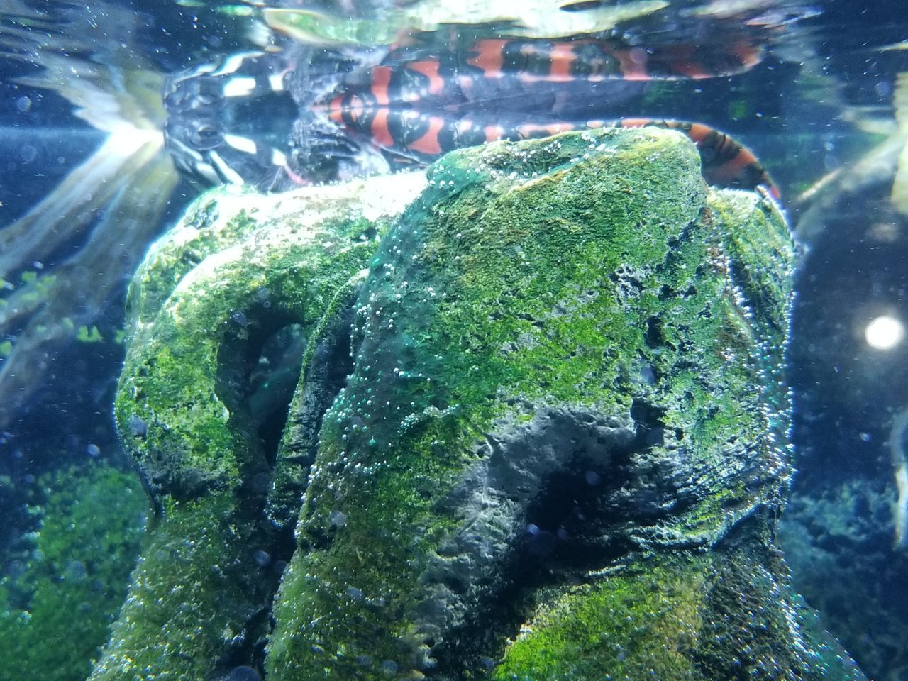 20180624_183123.jpg