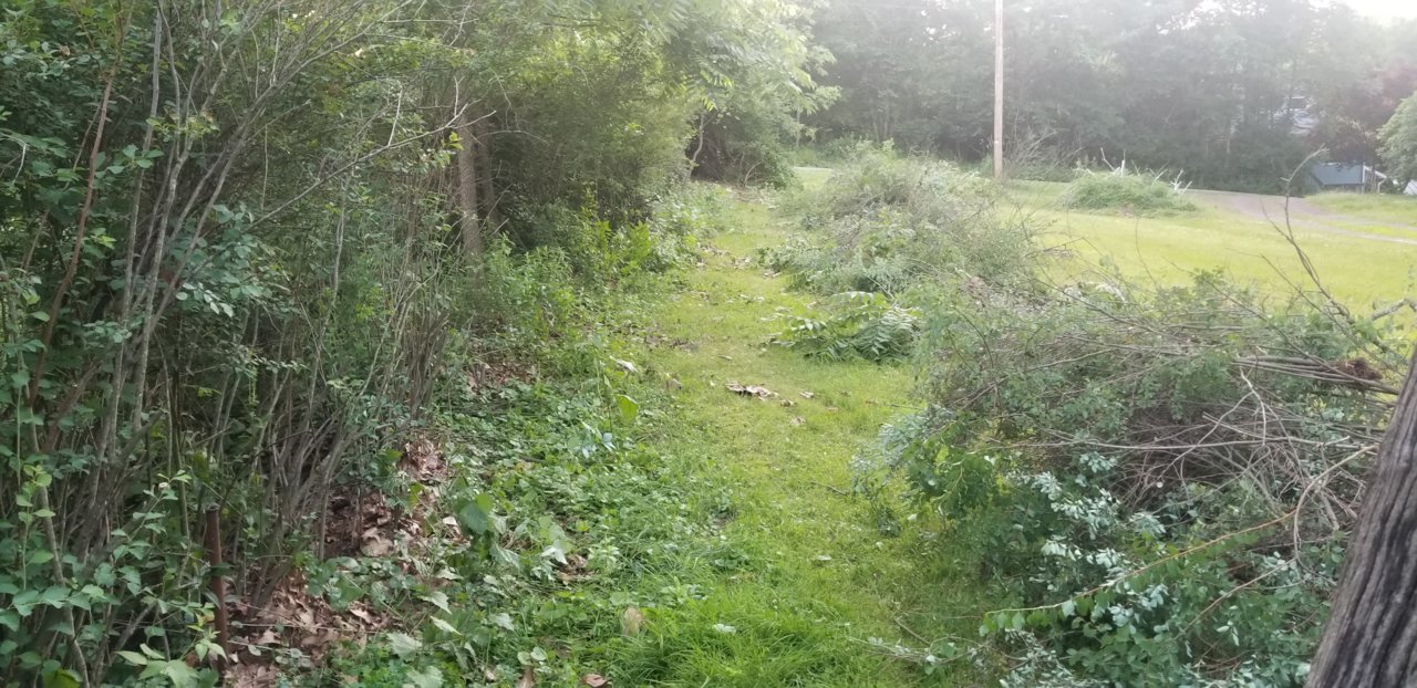 20180629_202331.jpg