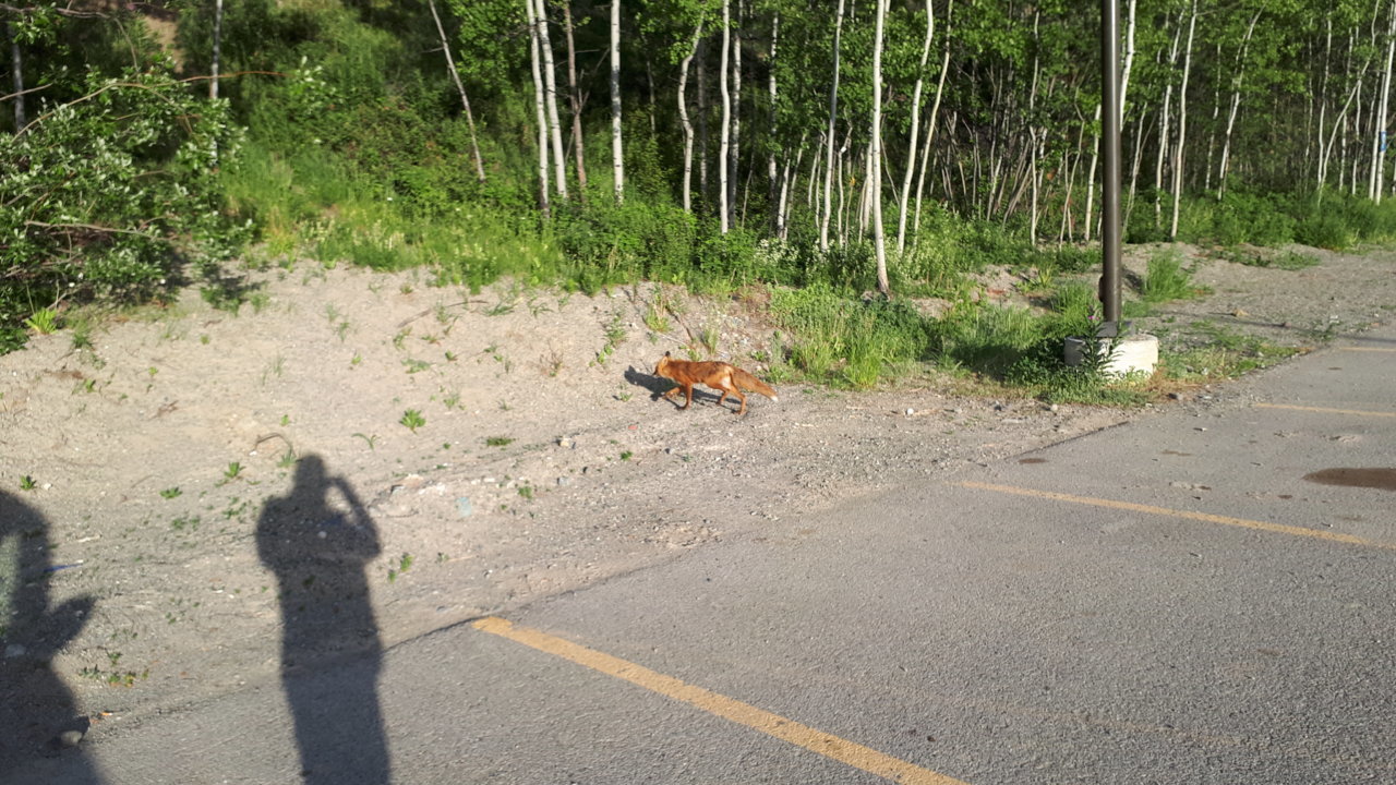 20180705_211440.jpg