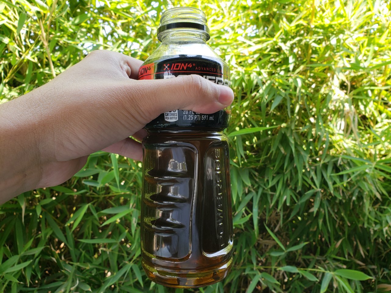 20180728_144520.jpg