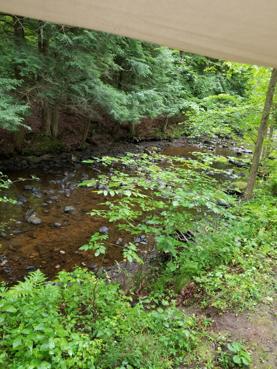 20180801_190850.jpg