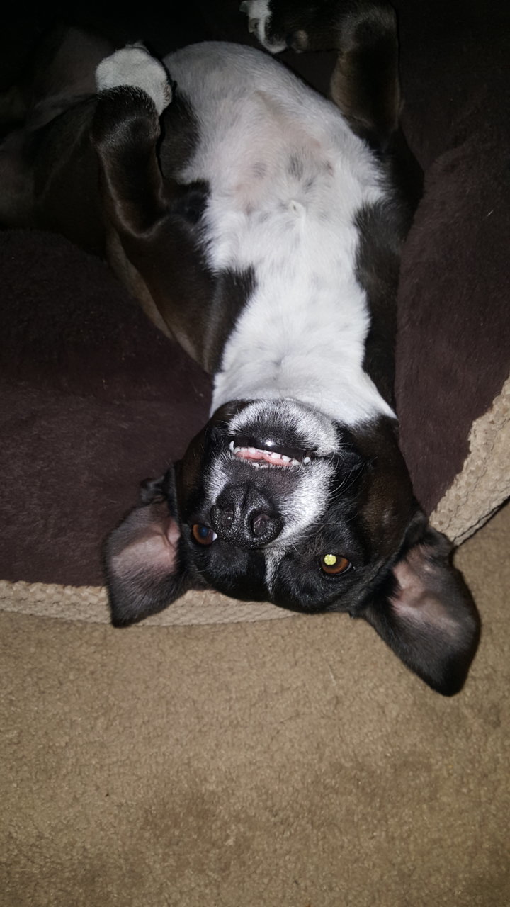 20180816_213558.jpg