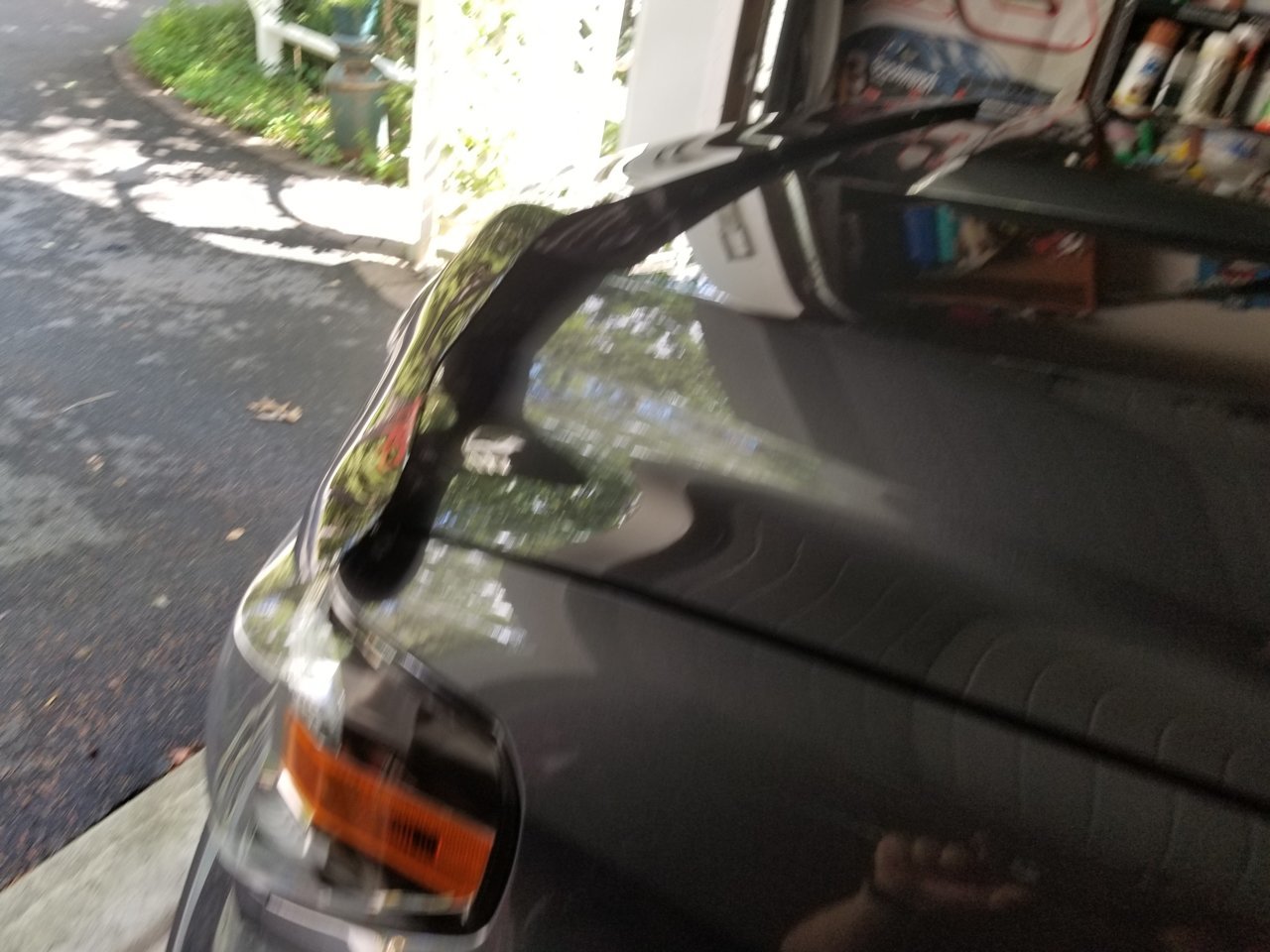 20180822_135031.jpg