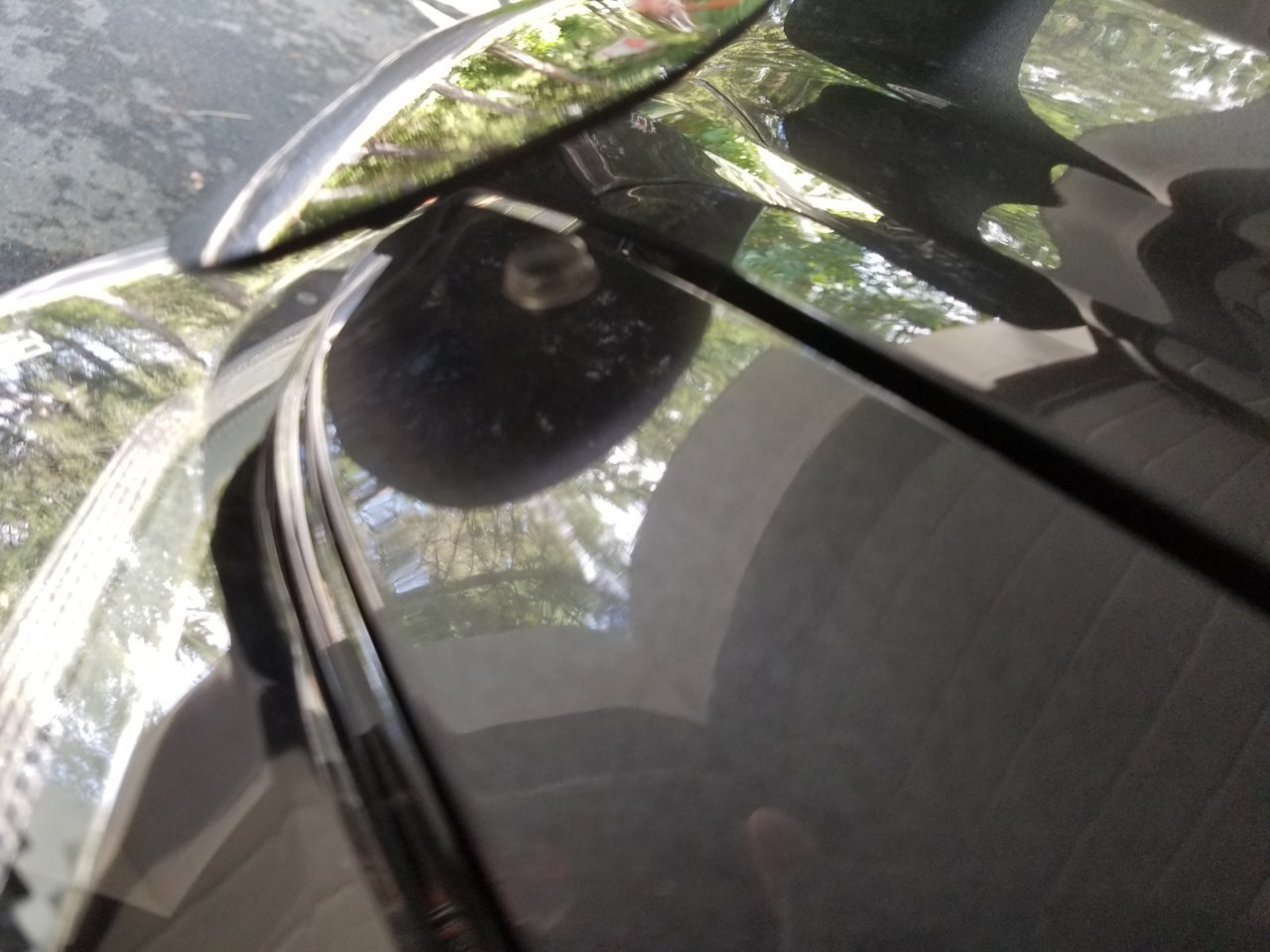 20180822_135043.jpg