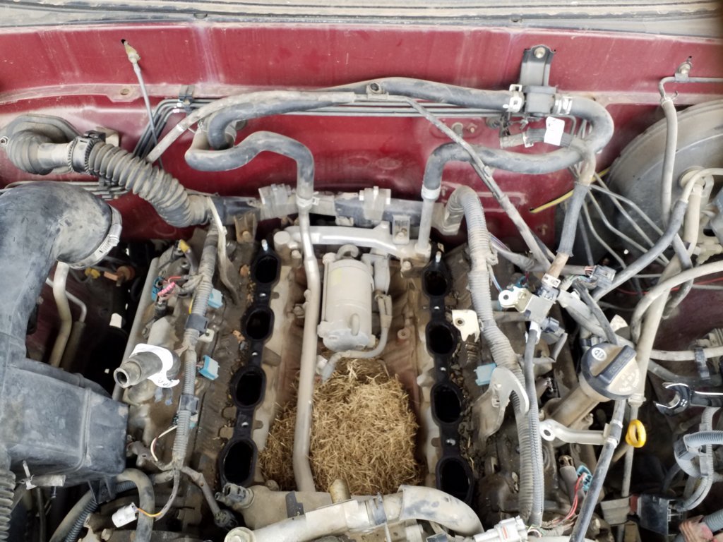 20180908_130714.jpg