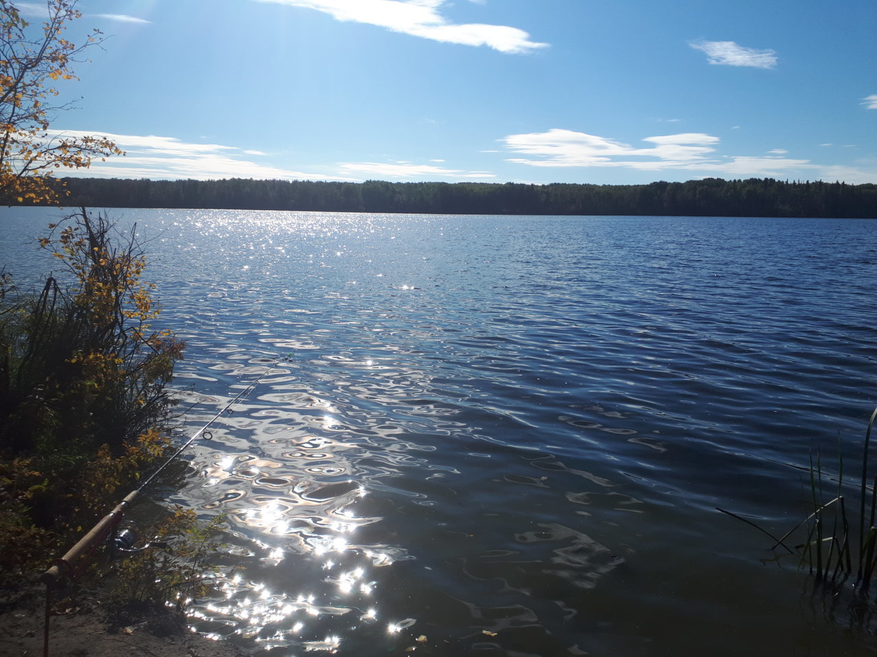 20180923_111931.jpg