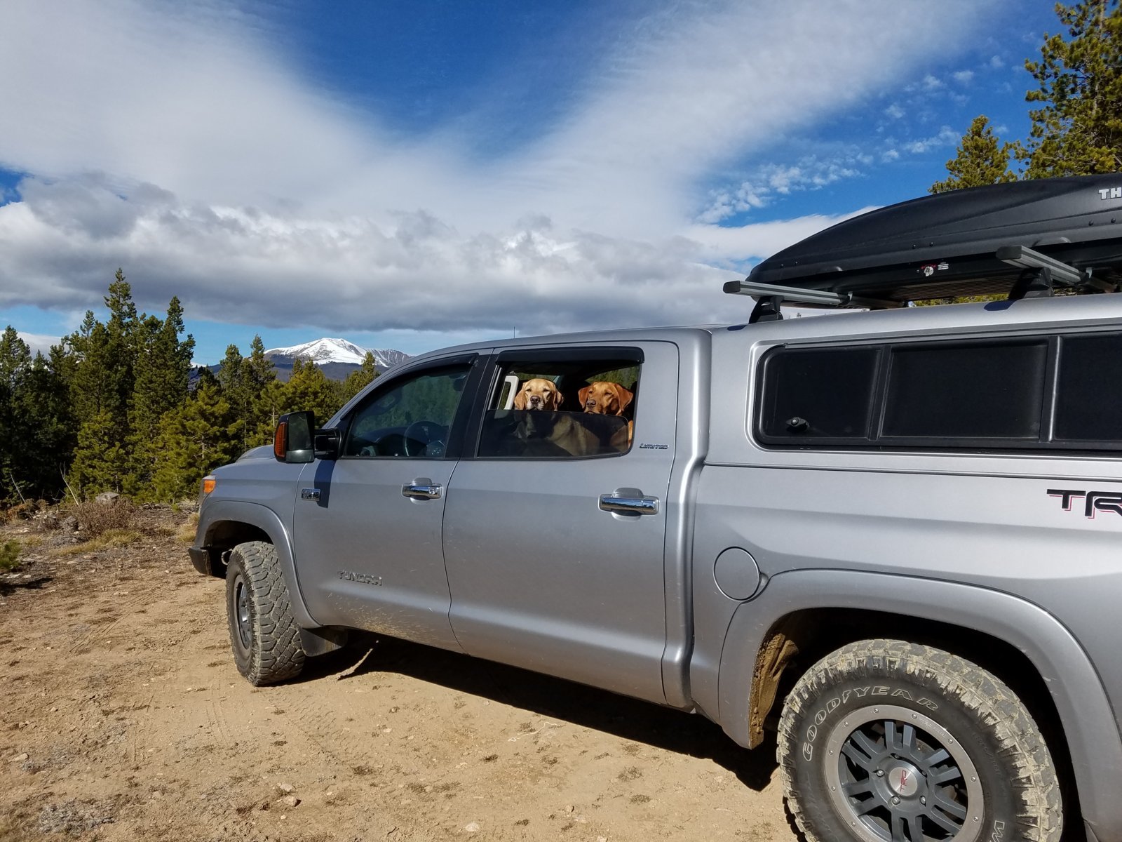 20181027_120747.jpg
