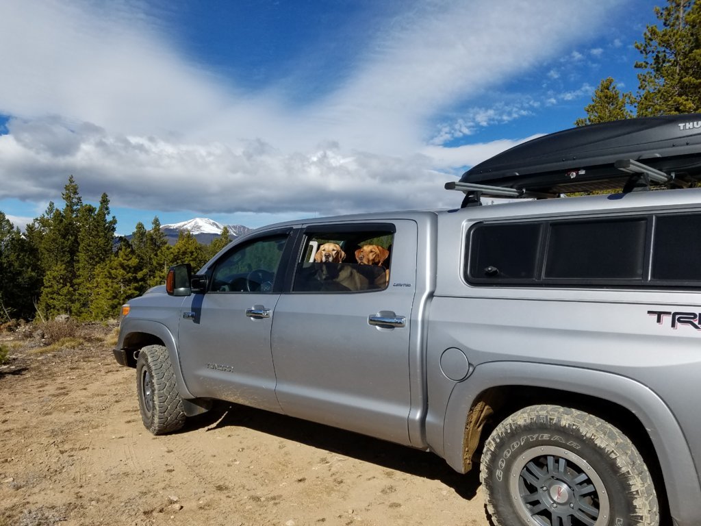 20181027_120748.jpg