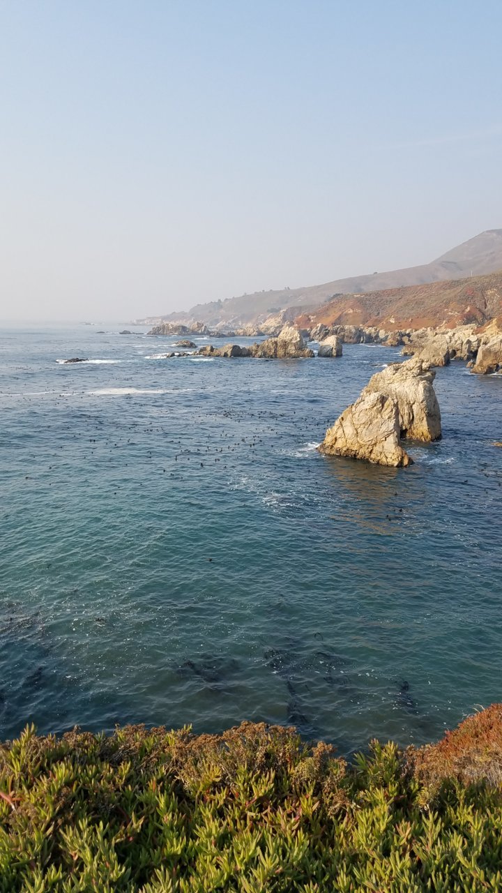 20181111_144415.jpg