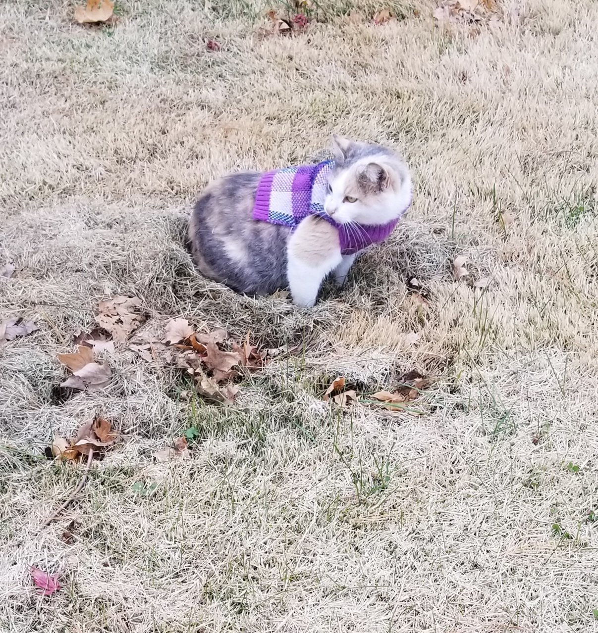 20181112_141240.jpg
